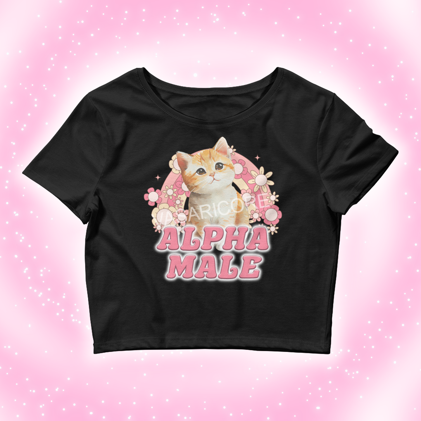 ALPHA MALE KITTEN