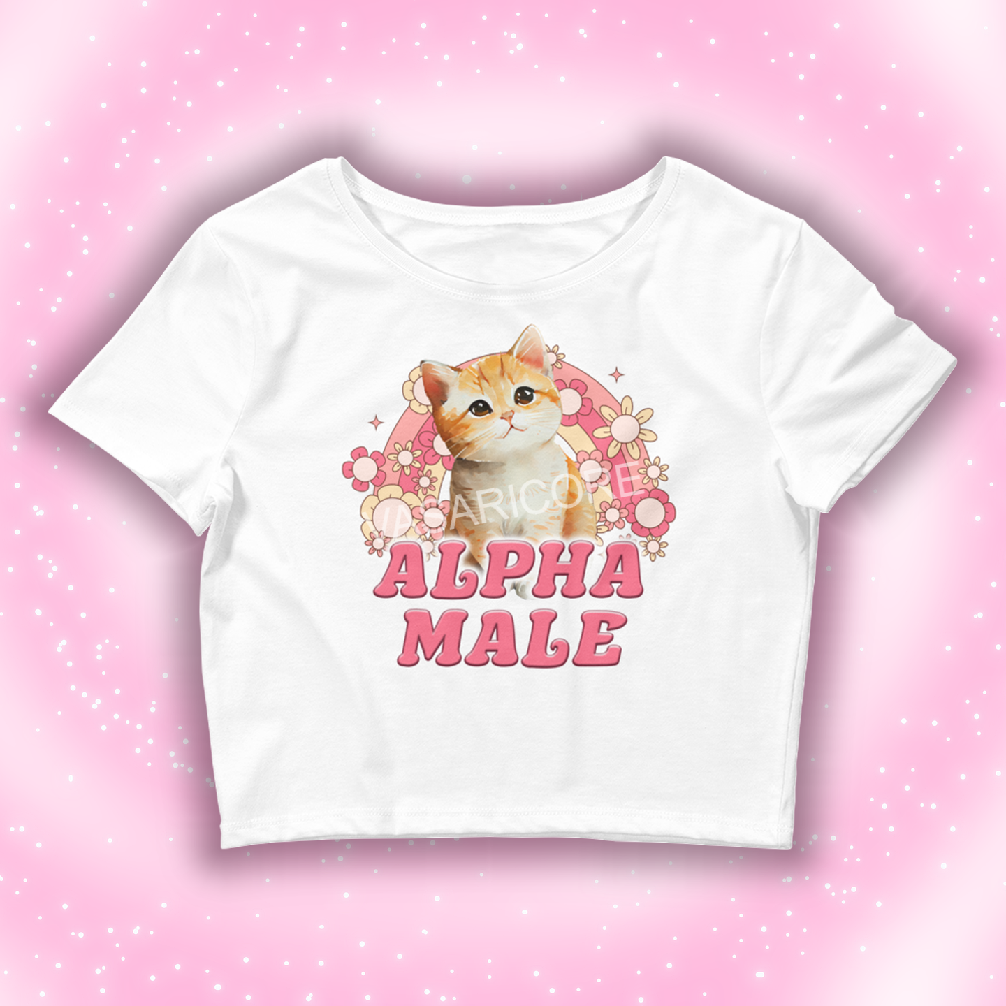 ALPHA MALE KITTEN
